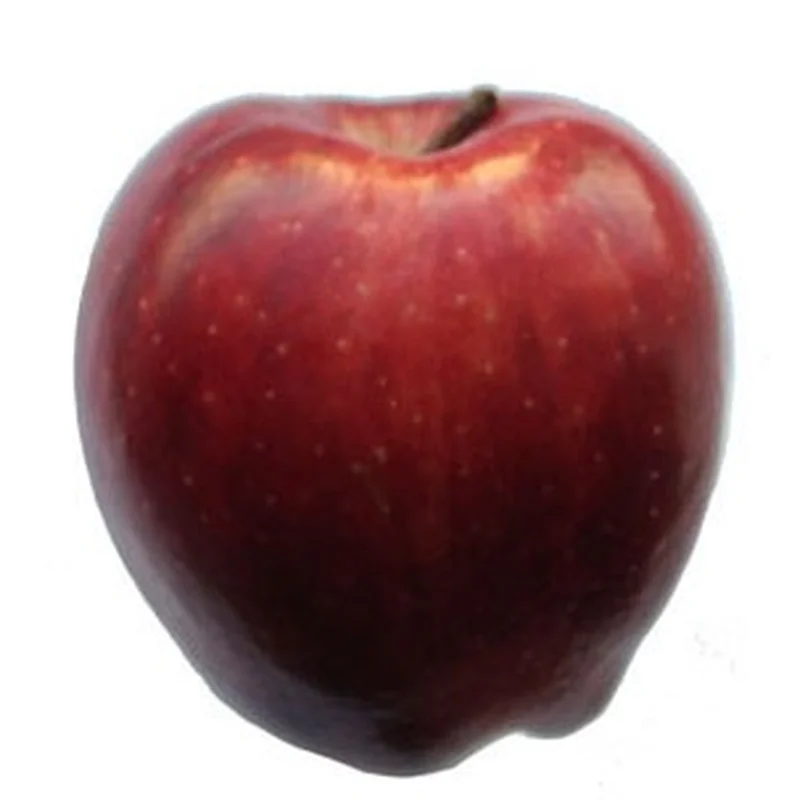 Imported Red Apple